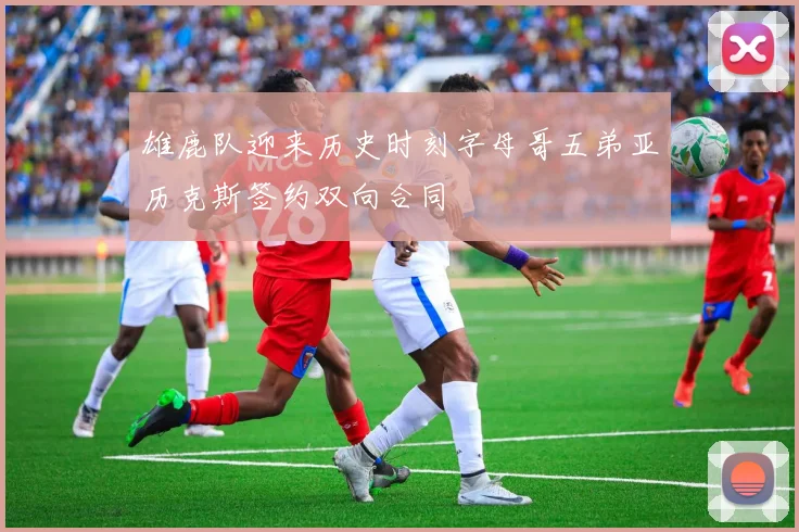 雄鹿队迎来历史时刻字母哥五弟亚历克斯签约双向合同