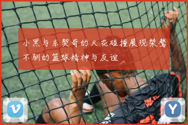 小黑与东契奇的火花碰撞展现桀骜不驯的篮球精神与友谊