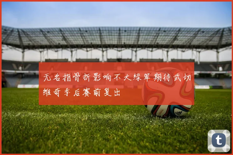 无名指骨折影响不大绿军期待武切维奇季后赛前复出