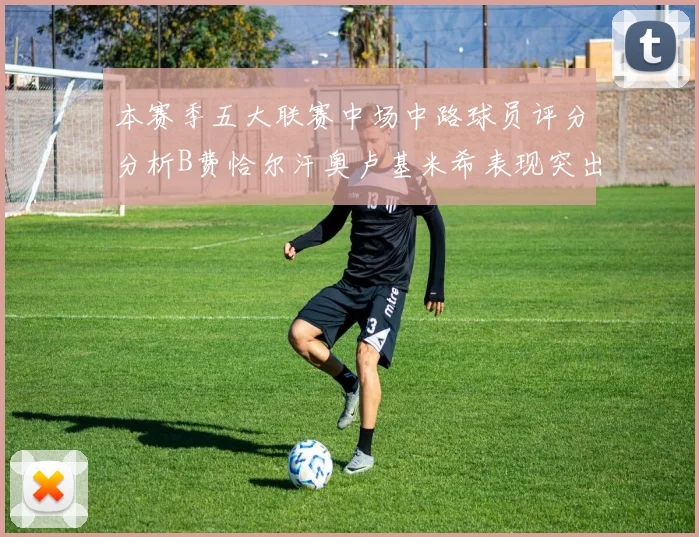 本赛季五大联赛中场中路球员评分分析B费恰尔汗奥卢基米希表现突出