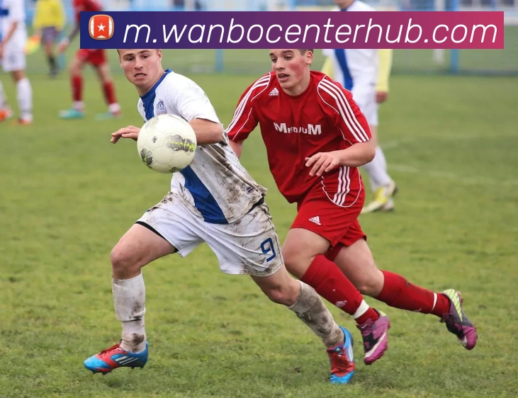 万博体育APP 体育赛事宣传图